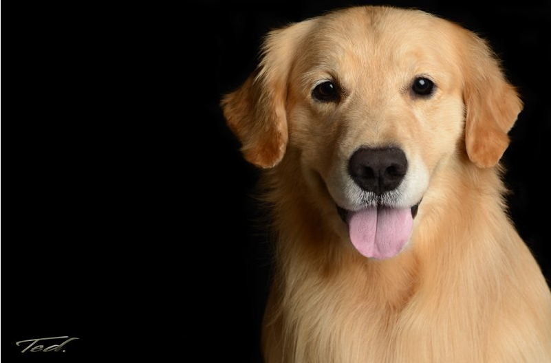 Cooper